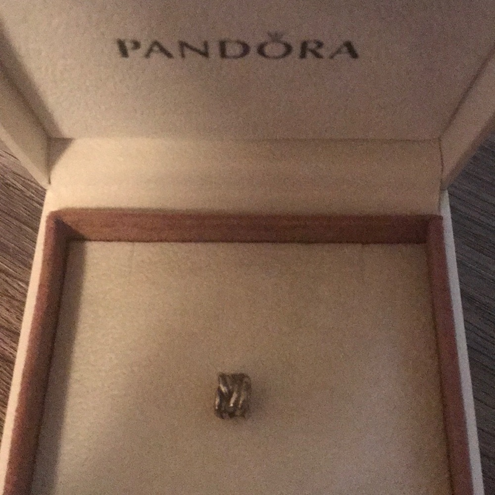 Pandora silver spacer charm